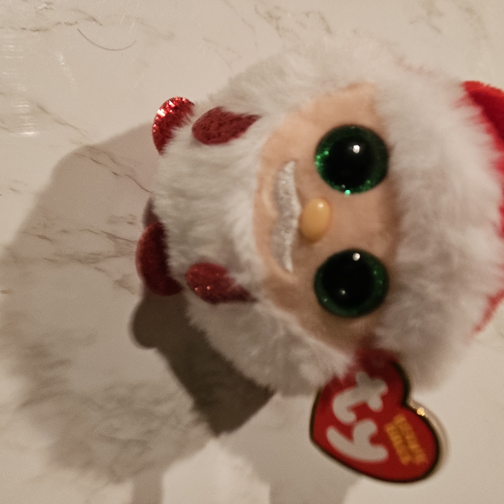 Ty Santa Plush with Green Eyes